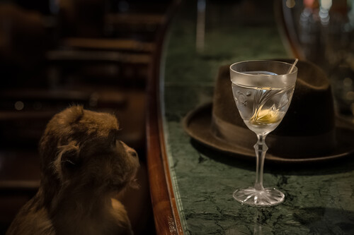 Monkey 47 Martini