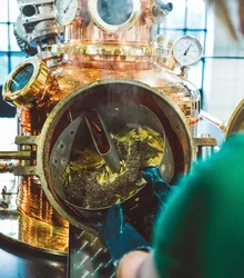 Distiller looking into the copper still through its porthole