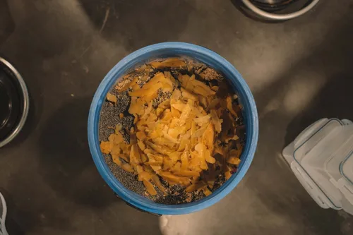 Citrus peels and botanicals macerating in a blue barrel