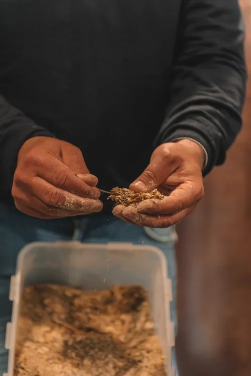 Hands holding dried botanicals over a box