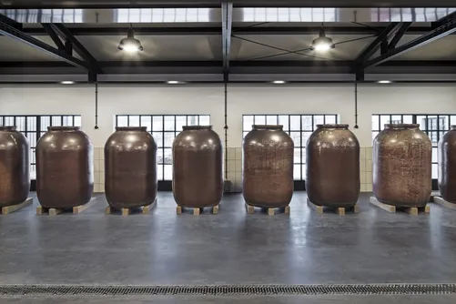 Row of earthenware maturation vessels
