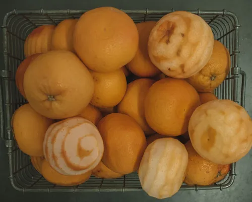 Basket of oranges and partly peeled pomelos