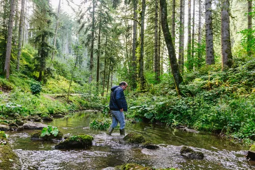 Man hiking through a Black Forest stream