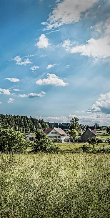 Paysage de la Forêt-Noire avec prairie et village sous un ciel bleu