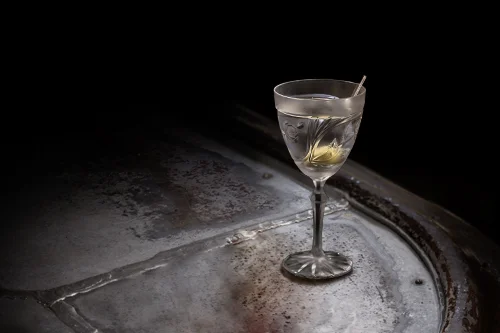 Monkey 47 Martini
