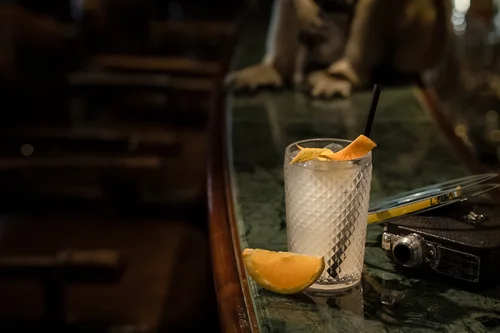 Monkey 47 Tonic