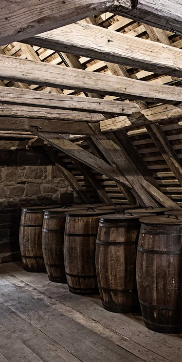 Wooden barrels in a timbered cellar