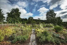 Botanical herb garden under a cloudy sky
