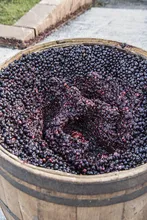 Wooden barrel filled with juniper berries