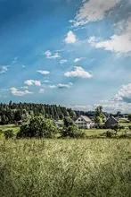 Tall grass and Black Forest landscape