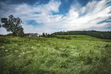 Meadows and trees near the Zum Wilden Affen distillery