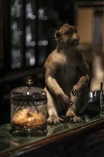 Stuffed monkey figure on a bar shelf