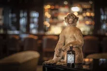 Monkey figure sitting on a bar counter with a Monkey 47 bottle