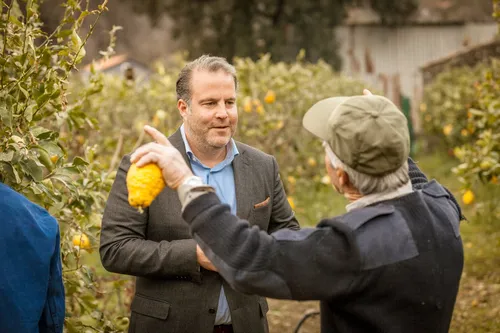 Two men examining lemons in a Sicilian citrus grove