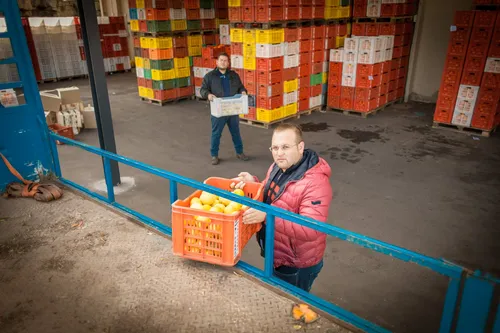 Workers carrying crates of citrus fruit in a warehouse