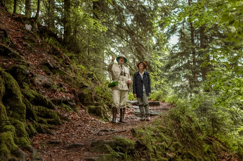 Two foragers on a forest path in the Black Forest