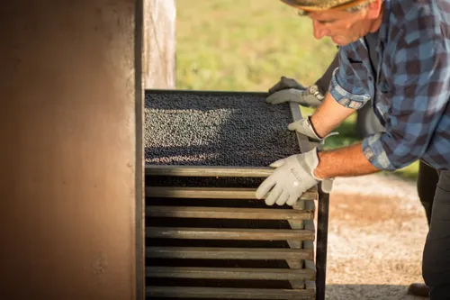 Worker sliding a tray of juniper berries into a drying rack