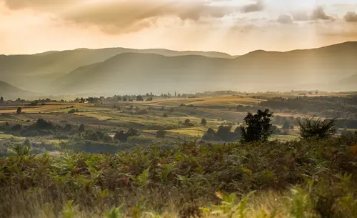 Hilly Croatian landscape with juniper shrubs at dusk