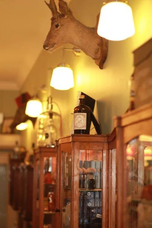 Interior of a traditional barbershop with antlers and vintage lamps