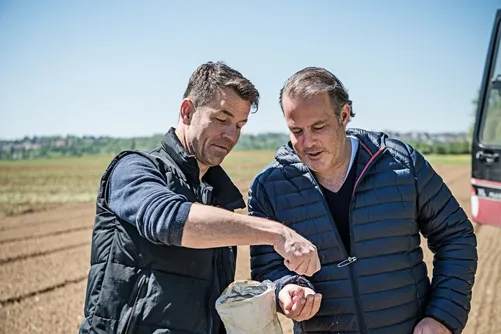 Two men inspecting onion seeds in a field