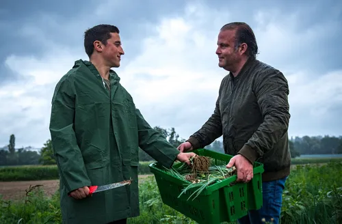 Two men with a crate of harvested onions in the field