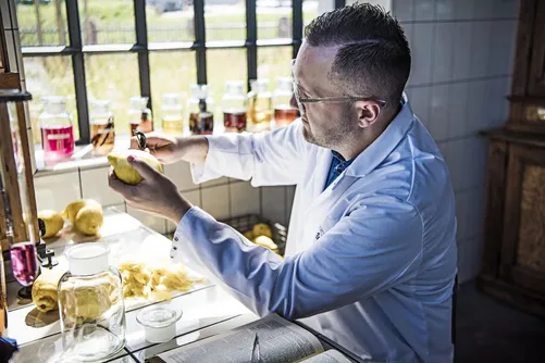 Man in lab coat handling pickled onions in jars
