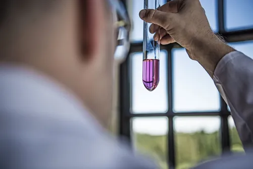 Close-up of a test tube with pink liquid