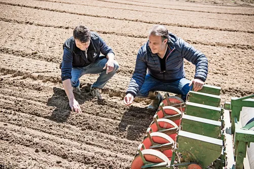 Two men checking the seeding machine in a field