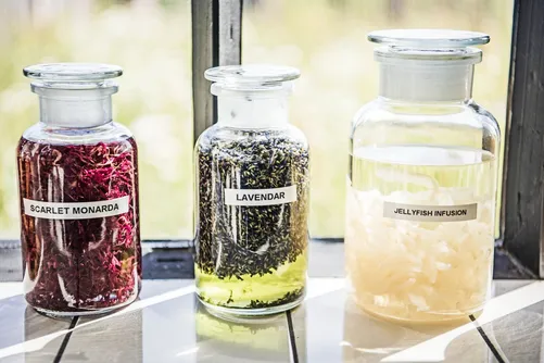 Apothecary jars of dried botanicals including lavender