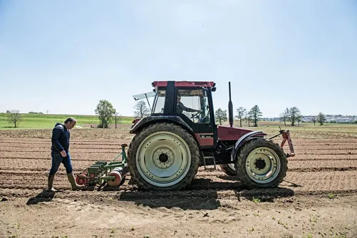 Tractor sowing onions in a field