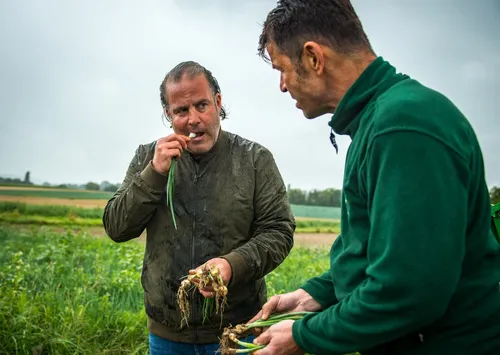 Two men tasting freshly harvested onions in the field