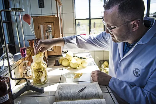 Man in lab coat taking notes next to jars of onions