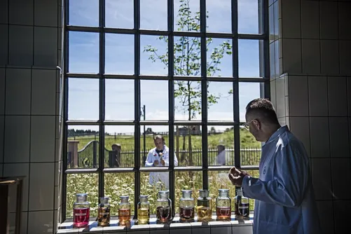 Man in lab coat by a window lined with coloured infusions