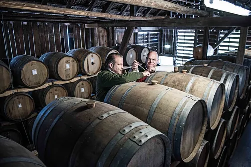 Two men among wooden barrels in a cellar