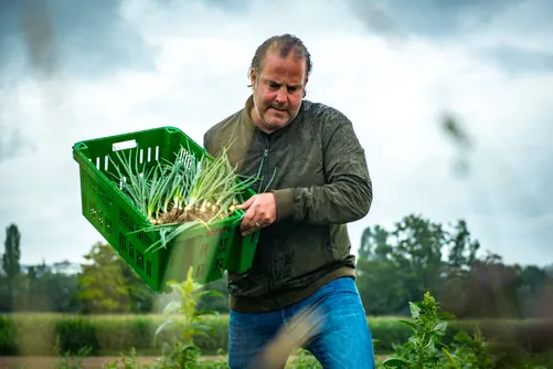 Man carrying a crate of freshly harvested onions