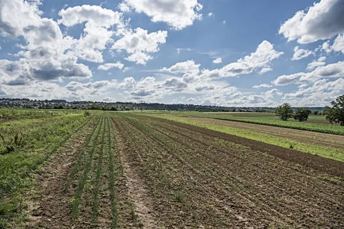 Plowed field under a cloudy sky