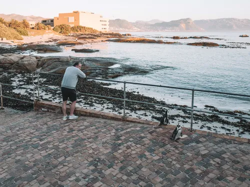 Man photographing the rocky coast in Cape Town