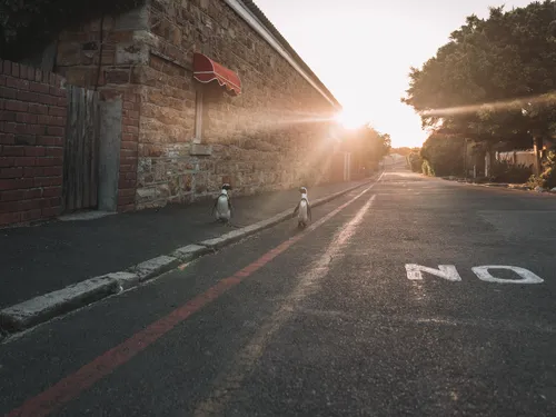 Sunset over a quiet street in South Africa