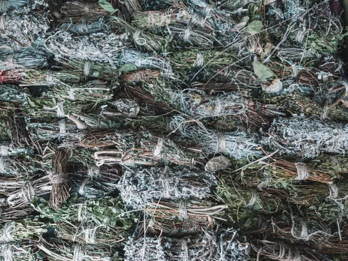 Pile of dried fynbos botanicals