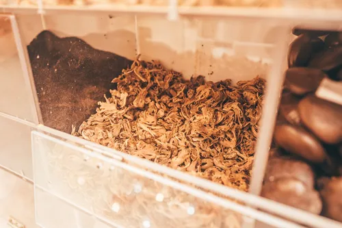 Dried botanicals in a market bin