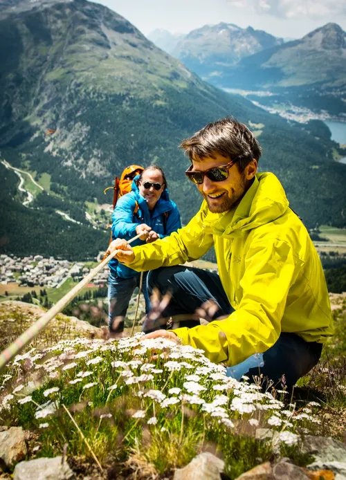 Climbers foraging alpine flowers on a slope