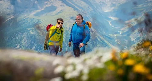 Two hikers in the Alps with flowers in the foreground