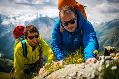 Climbers inspecting alpine plants on a rock