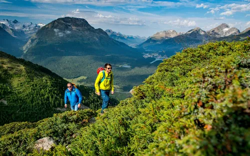 Two hikers walking through alpine meadows