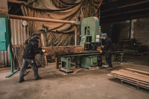 Workers sawing oak logs at the sawmill
