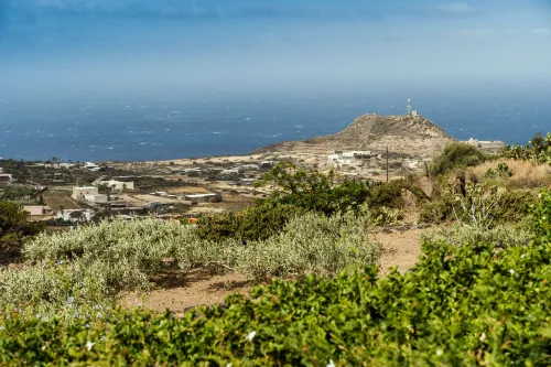 Pantelleria coastline with green caper plants