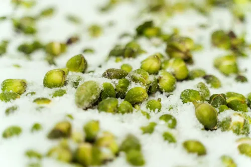 Green capers in salt