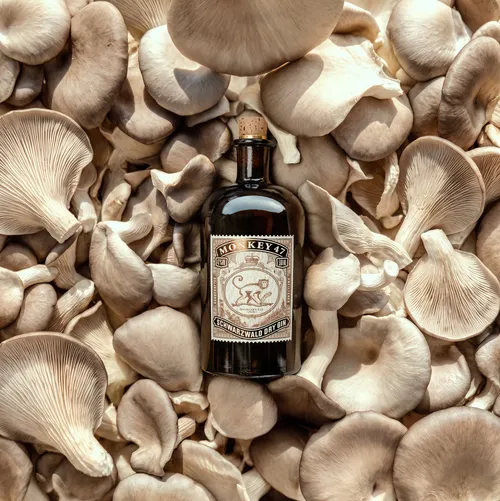 Monkey 47 Distiller's Cut 2026 bottle with Oyster Mushroom