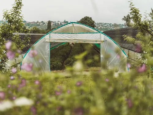 Polytunnel greenhouse behind a meadow of wildflowers