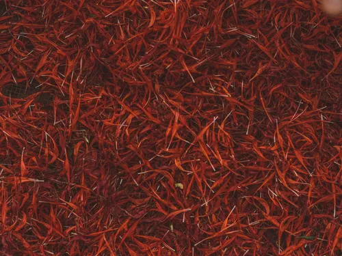 Close-up of dried red monarda petals